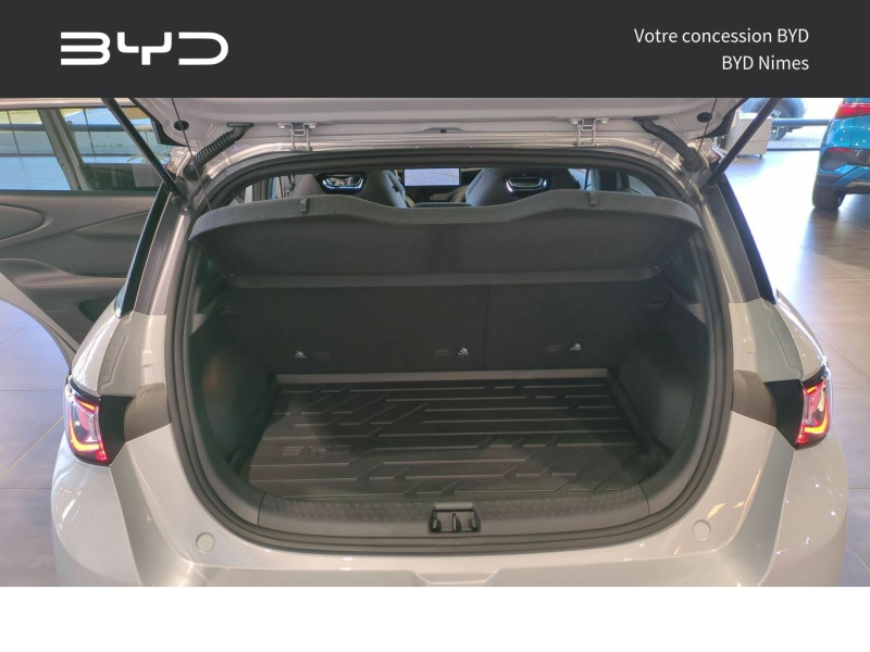 agency.seo.links.detann.title BYD Dolphin d’occasion à vendre à NIMES chez GM LUX (Photo 12)