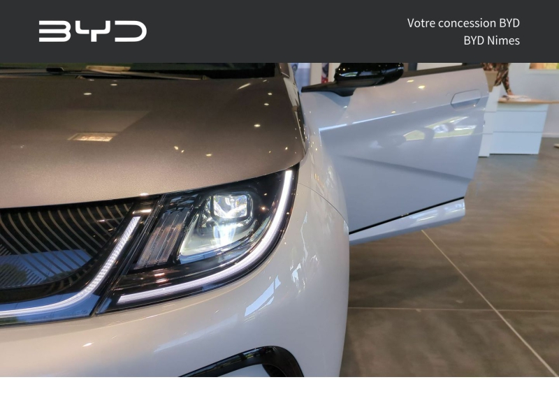 agency.seo.links.detann.title BYD Dolphin d’occasion à vendre à NIMES chez GM LUX (Photo 18)