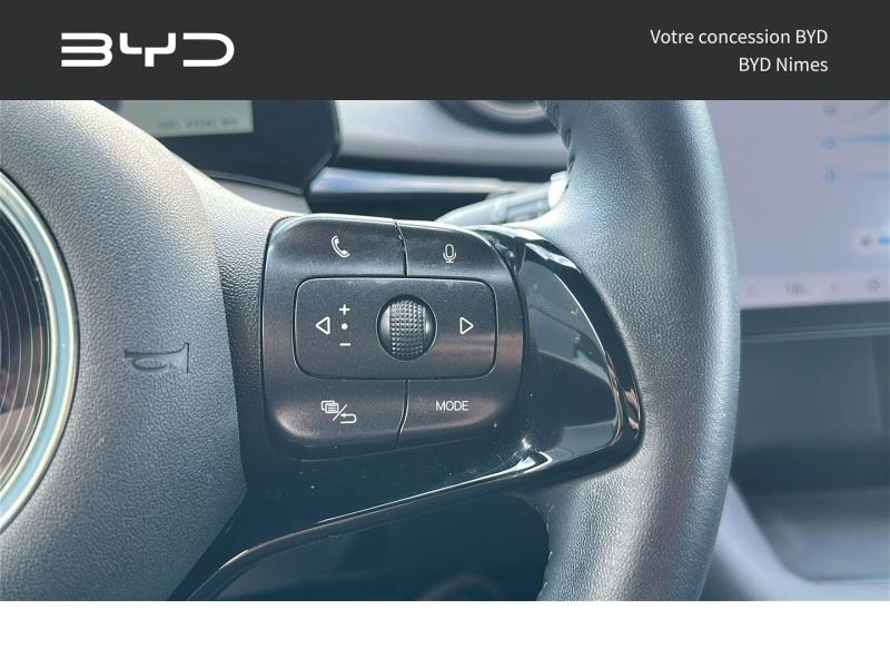BYD Dolphin d’occasion à vendre à NIMES chez GM LUX (Photo 11)